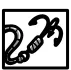 Grapnel