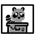 Form of the Raccoon