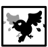 Resummon Crow