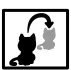 Flashback