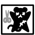 Collect Pelt