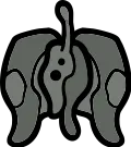 Birthwort
