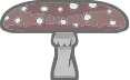 Mushroom Table B