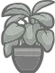 Potted Monstera