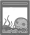 Small Skull Aquarium