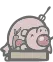 Taxidermy Pig