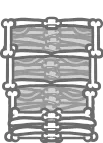 Bone Shelf