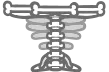 Bone Table