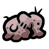 Flesh Shroud