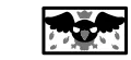 Super Crow!