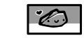 Pet Rocks