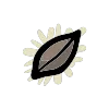Magic Seed