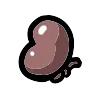 Kidney