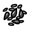 Bird Feed