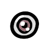 Human Eye