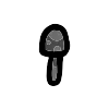 Black Mushroom